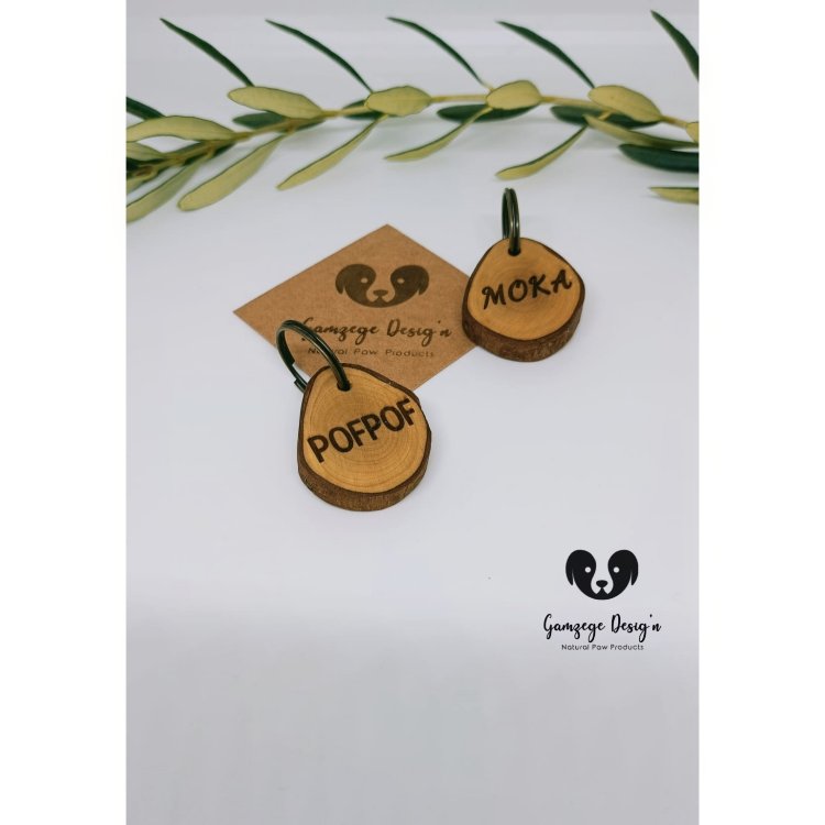 Zeytin Dalı Kedi İsimliği
