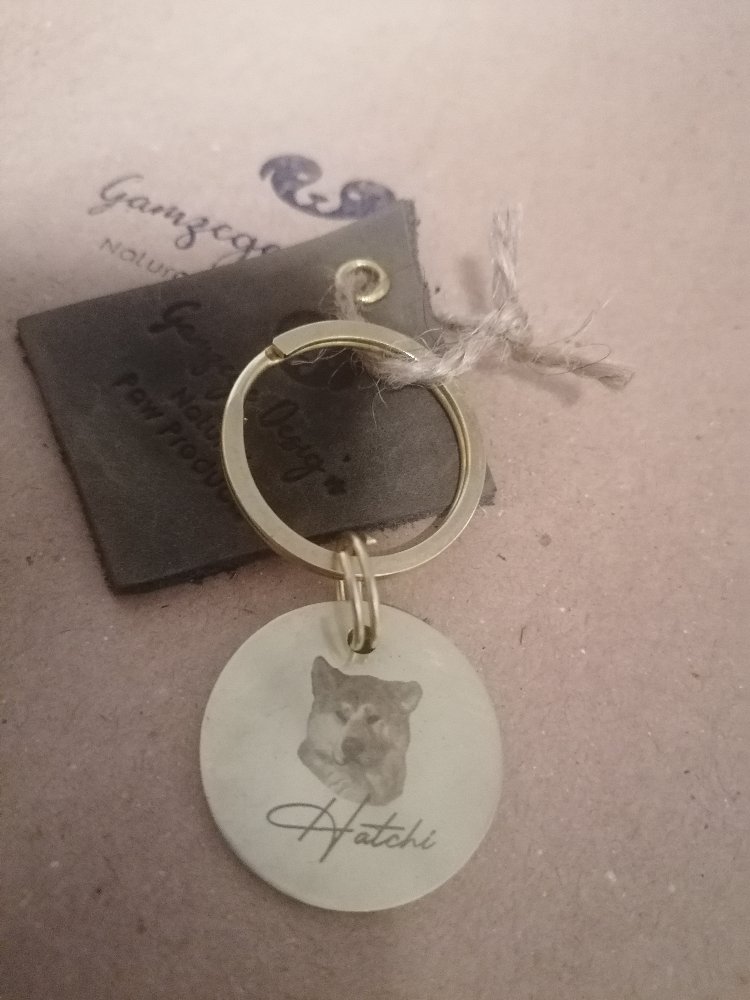 Pirinç Köpek İsimliği 