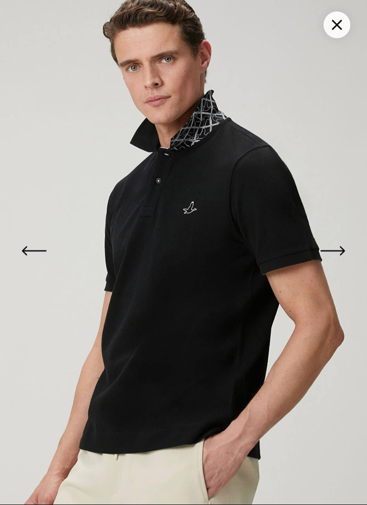 Beymen Club Premium Polo Yaka Tsihirt