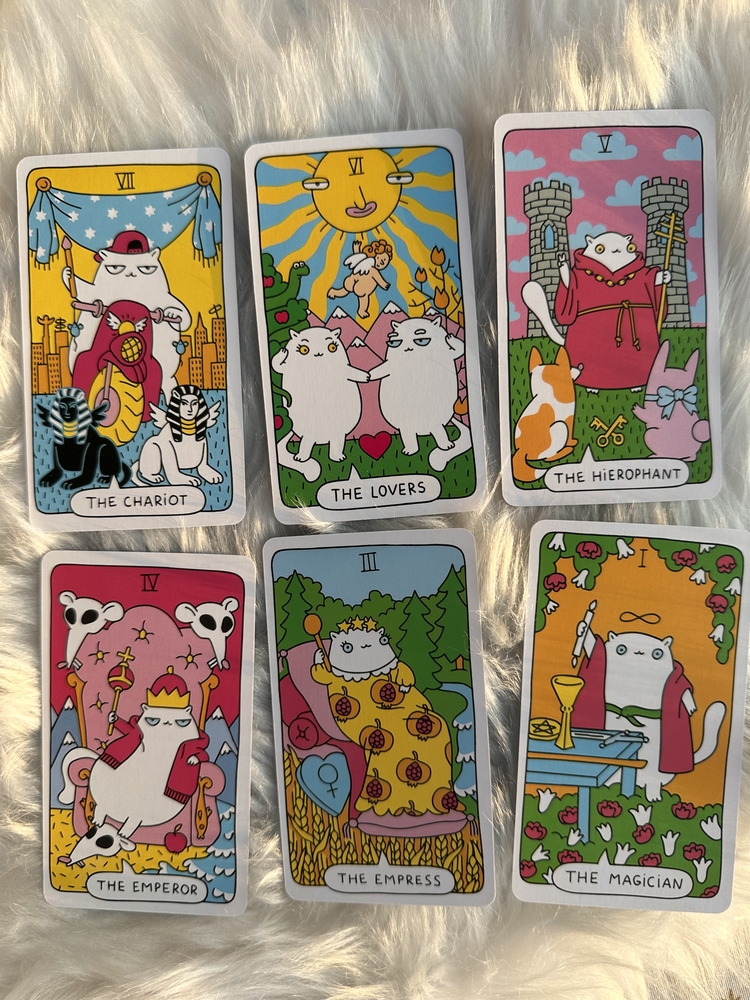 Paws tarot