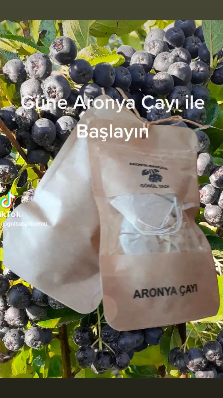 ARONYA ÇAYI (10Ad.)