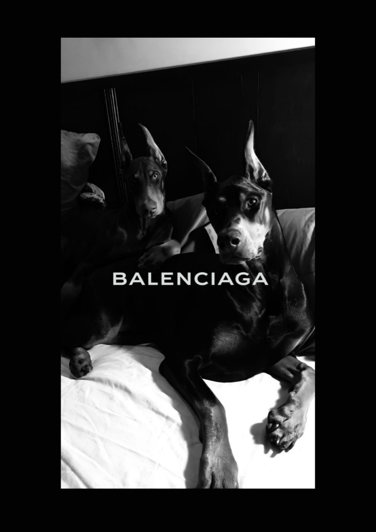 Doberman Köpek Tablosu | Siyah Beyaz Modern Poster