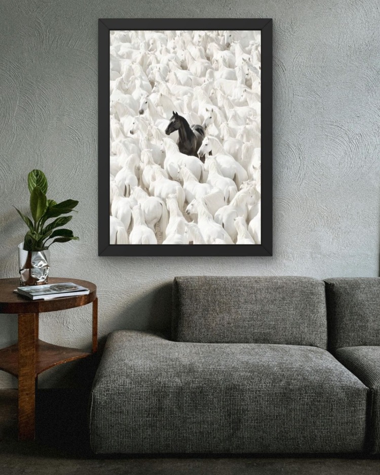 Siyah At Tablosu | Beyaz Atlar İçinde Modern Duvar Posteri