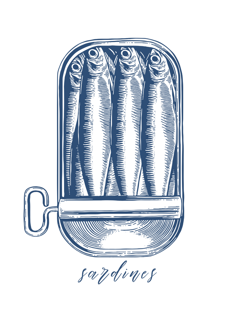 Sardines Yeşil