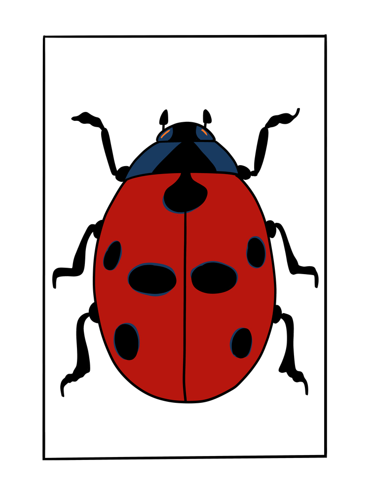 UĞUR BÖCEĞİ POSTER