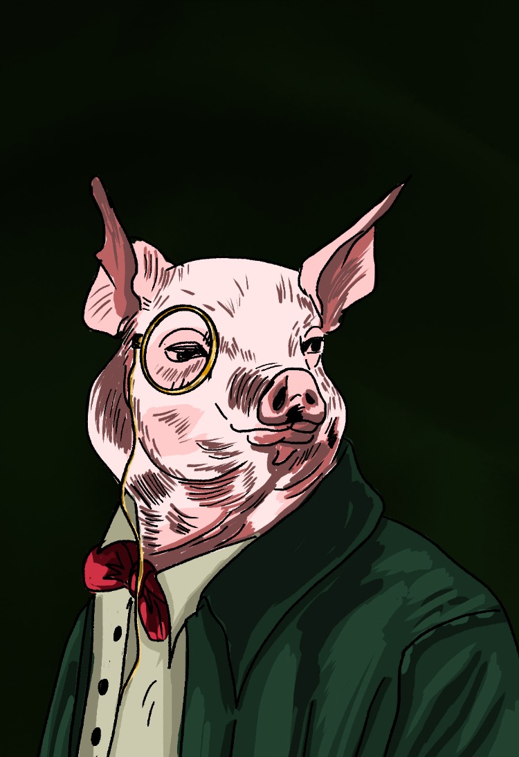 Cool Pig Poster