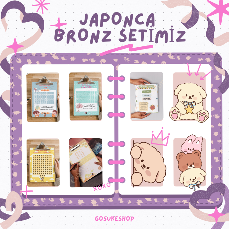 Japonca Öğreniyorum Seti Bronz