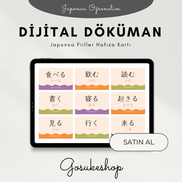 Japonca Fiiller Hafıza Kartı PDF