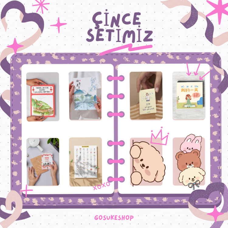 Çince Öğreniyorum Seti
