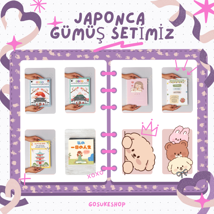 Japonca Öğreniyorum Seti Gümüş