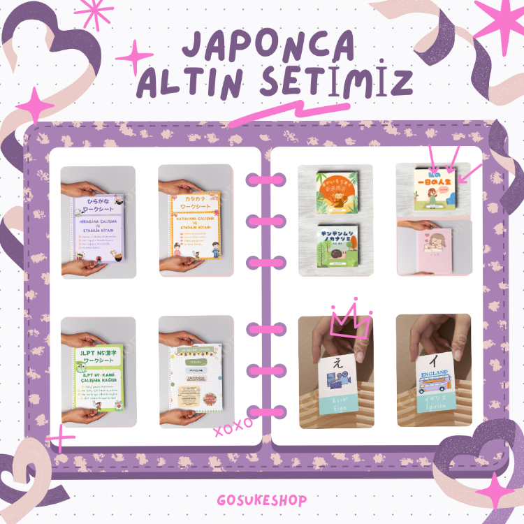 Japonca Öğreniyorum Seti Altın