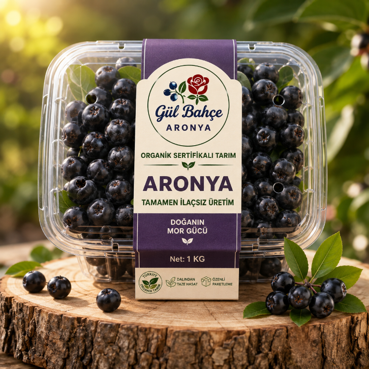 Taze Aronya 4KG