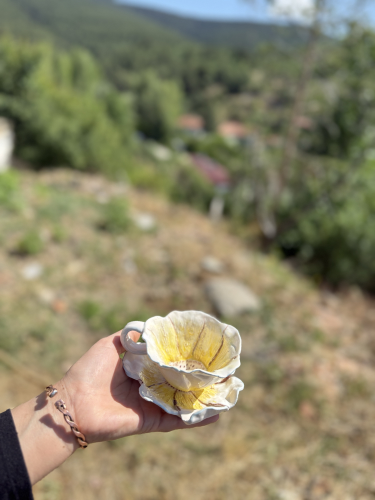 Sarı papatya 