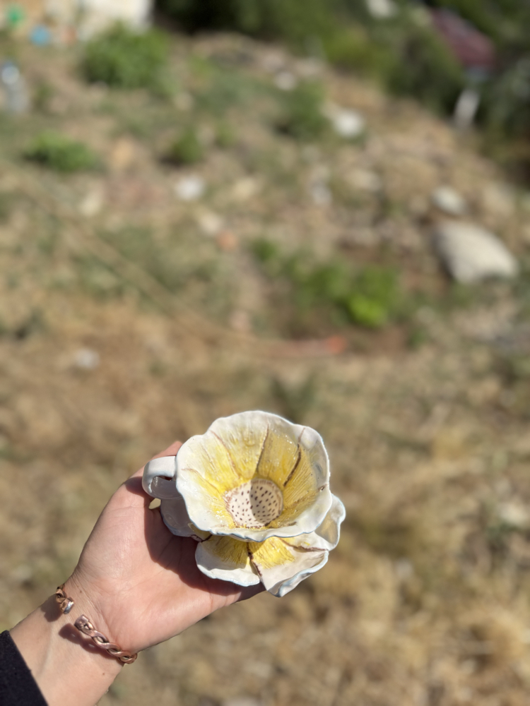 Sarı papatya 