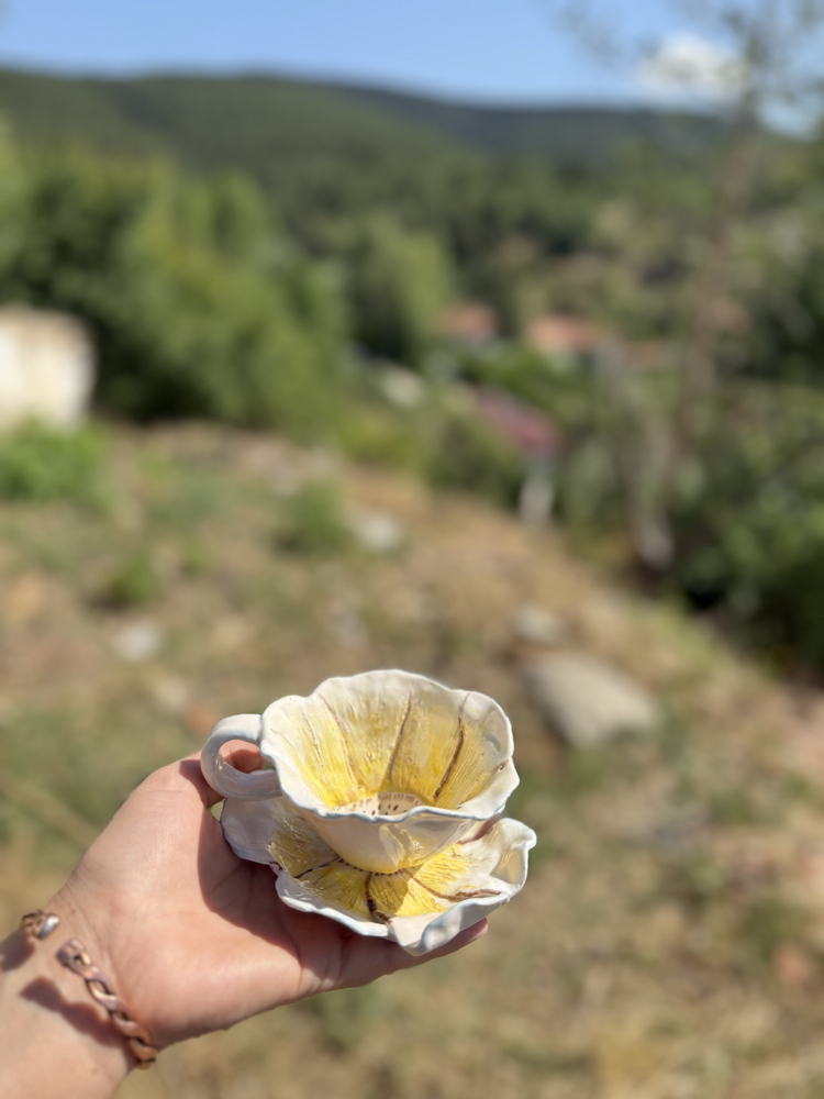 Sarı papatya 