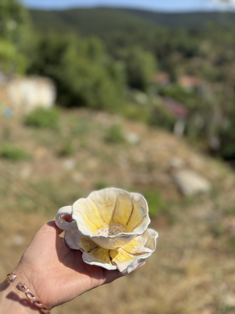 Sarı papatya 