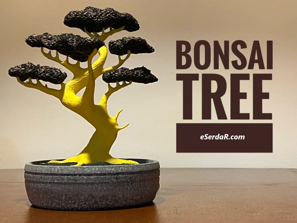 Bonsai Ağacı