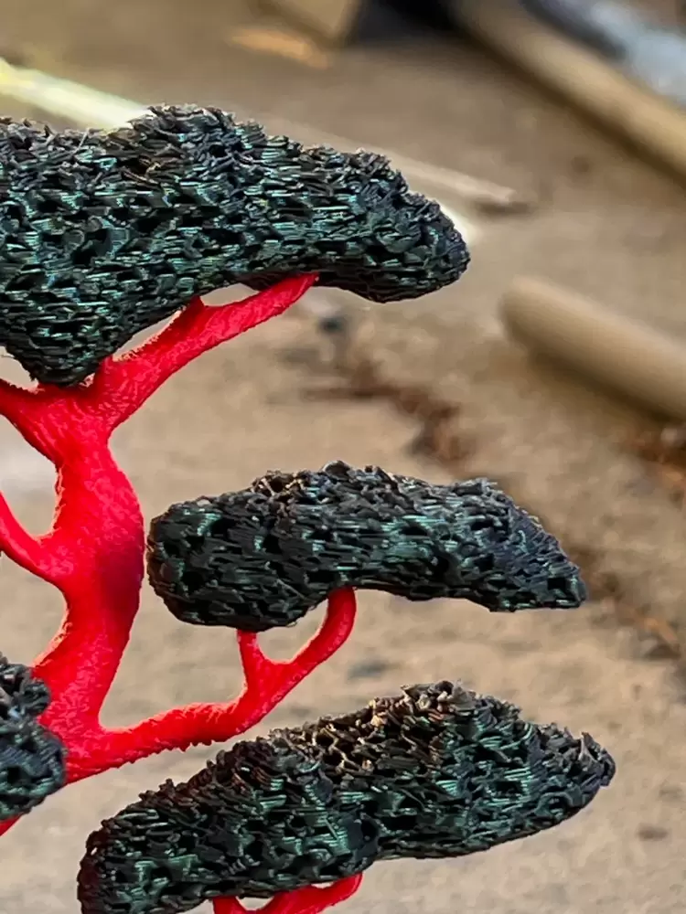 Bonsai Ağacı