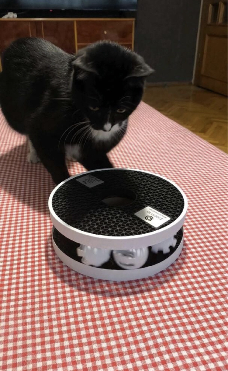 Kedi oyuncağı