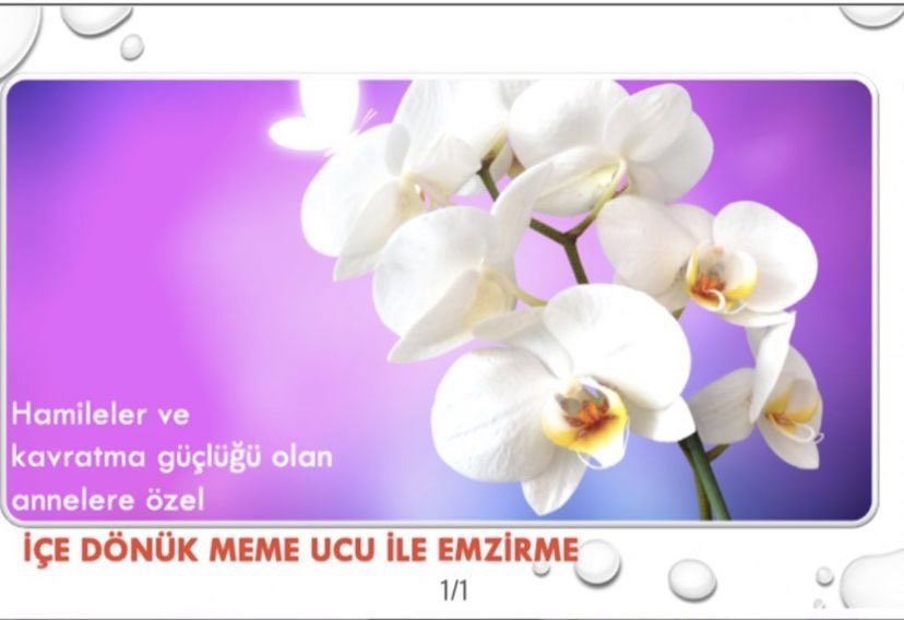 Video Eğitim- İçe Dönük Meme Başı ile Emzirme® + Hediye e-Kılavuzlar