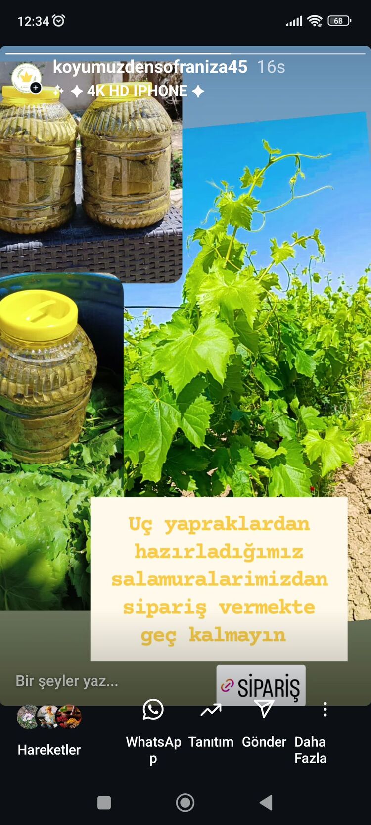 Manisa Alaşehir Sultaniye salamura yaprak 5 lik bidon 