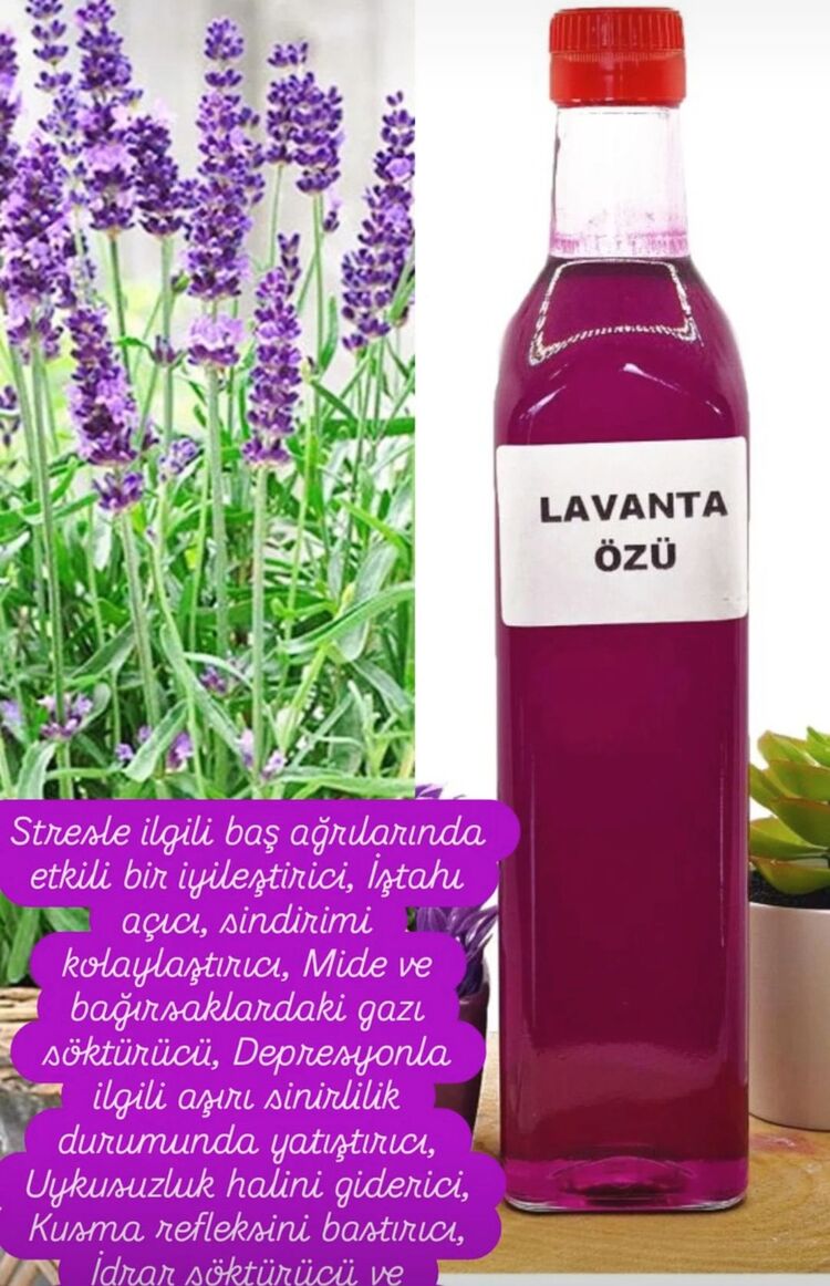 Lavanta özü 1 kg
