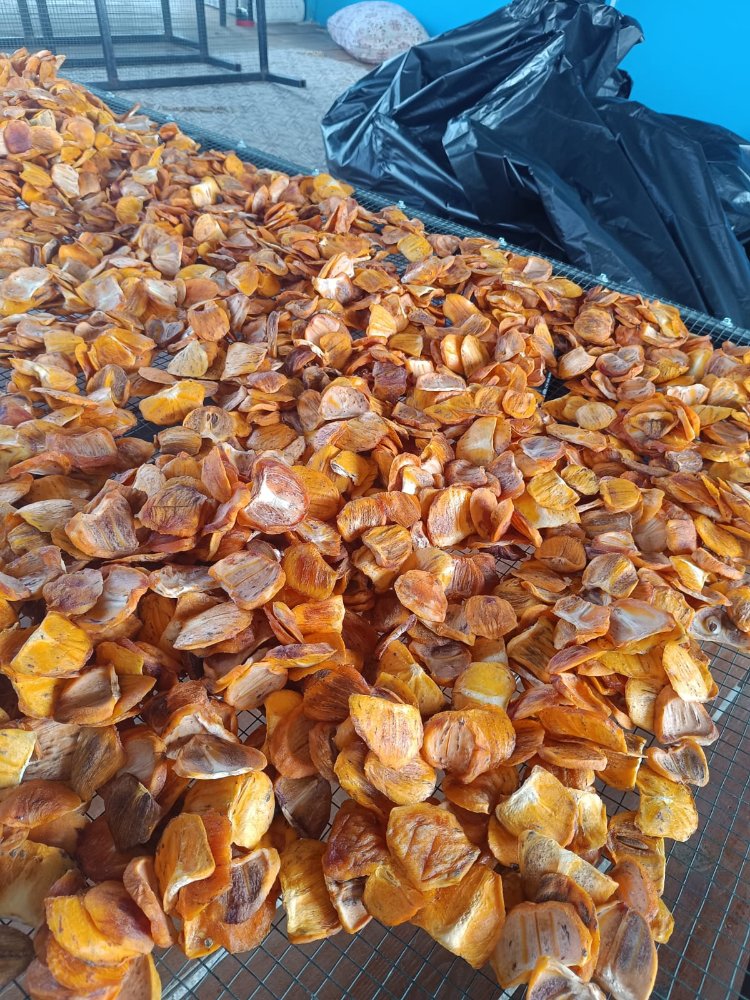 Dilimli cennet hurması kurusu cipsi 500 gr