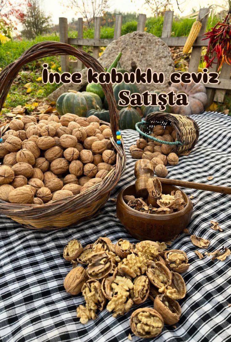 Yerli cendler ceviz1 kg