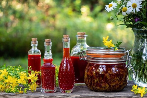 Kantaron yağı 250 ml
