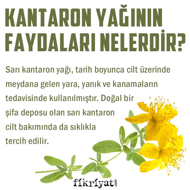 Kantaron yağı 250 ml