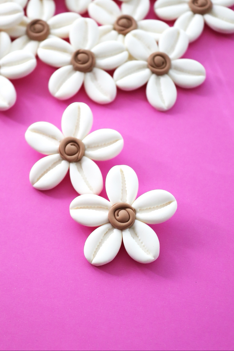 Cowrie Bloom