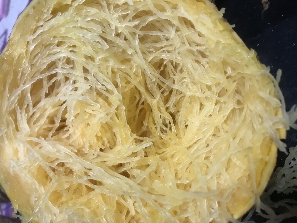 Spagetti kabak 