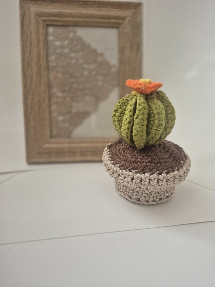 Mini kaktüs 