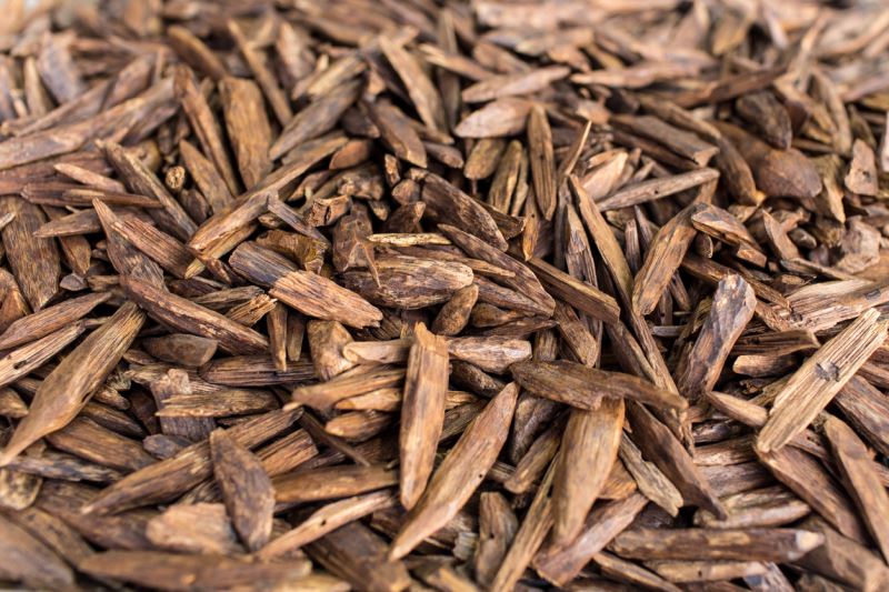 UD (OUD) BUHURU