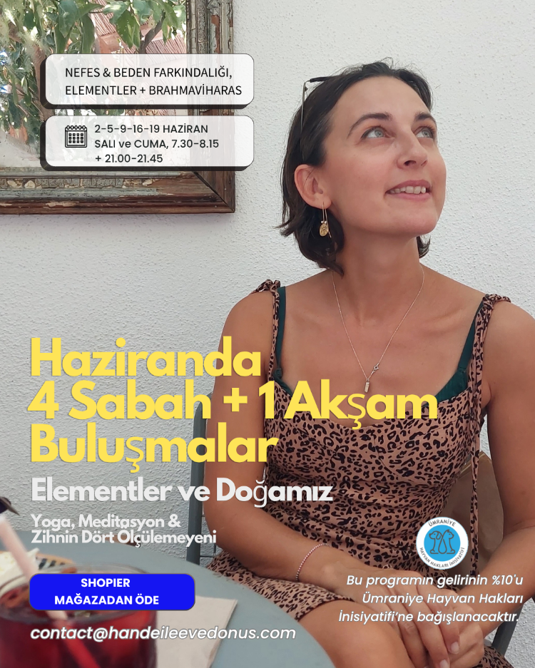 Haziranda Element Odaklı Yoga ve Meditasyon Buluşmaları