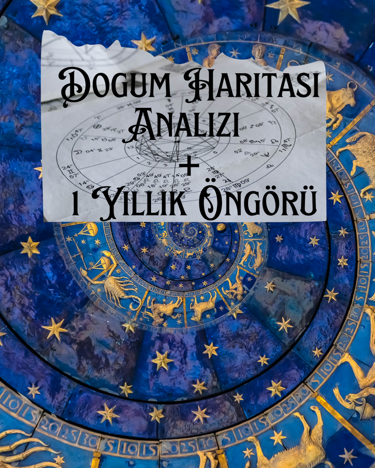 Dogum Haritasi Analizi + 1 Yillik Öngörü