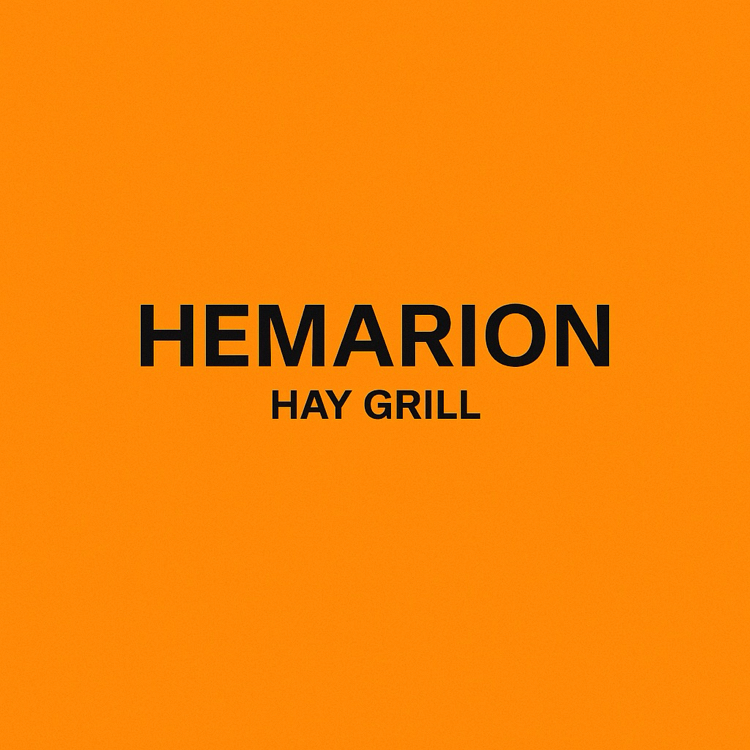 Hay Grill Gourmet Elektrikli Izgara