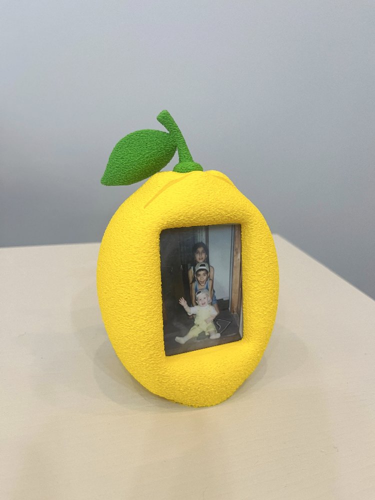 3D Limon Çerçeve