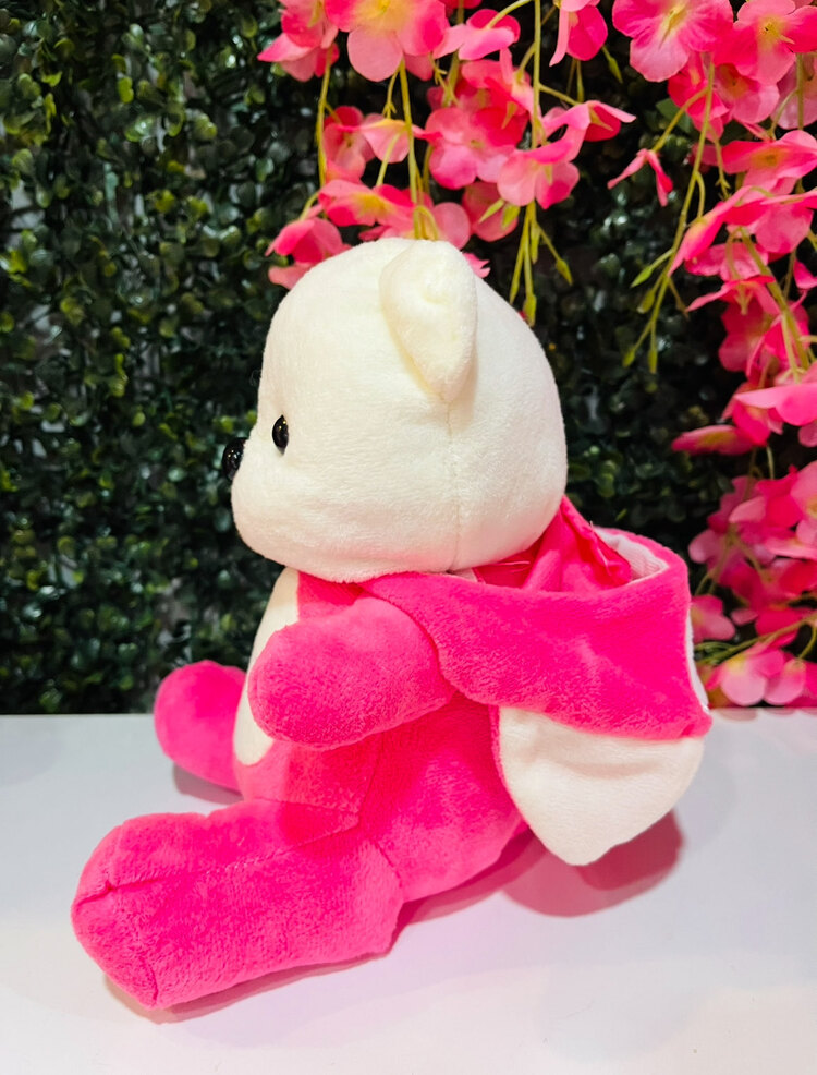 Kapüşonlu Puffy Hug Ayıcık