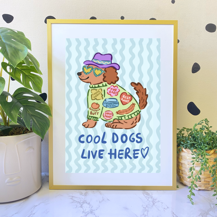 COOL DOGS BASKI