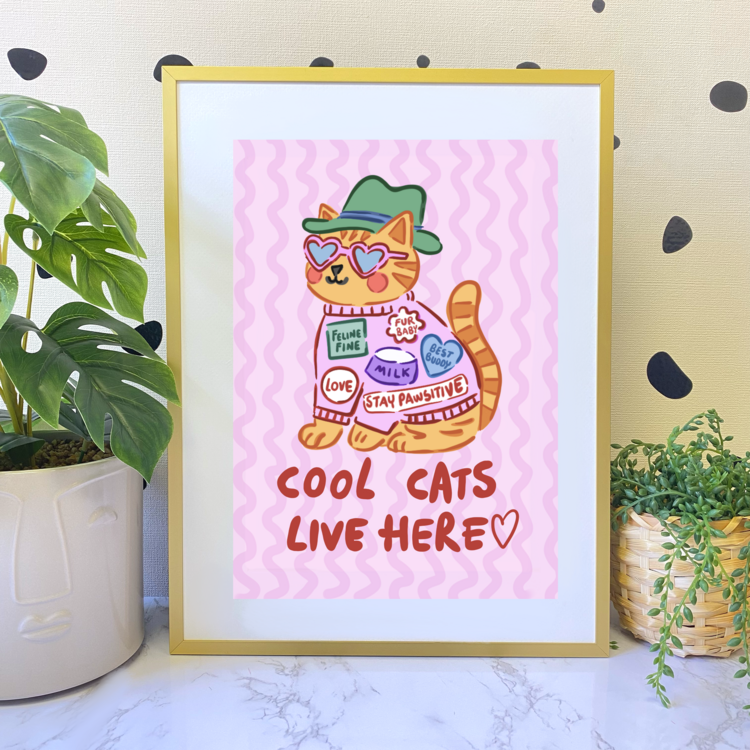 COOL CATS BASKI