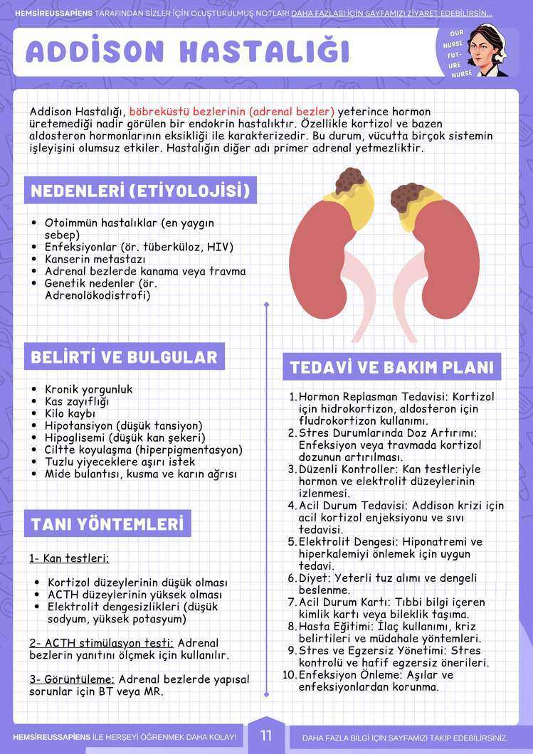 Dahiliye Tüm Hastalıklar