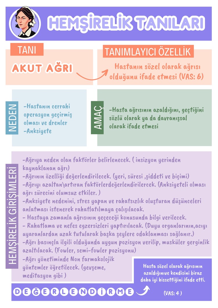Böbrek Transplantasyon Yapılmış Hastaya Bakım Planı (Olgu Örneği)