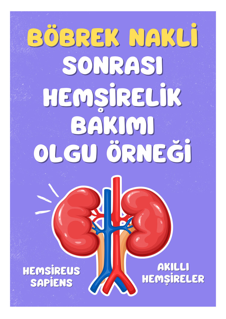 Böbrek Transplantasyon Yapılmış Hastaya Bakım Planı (Olgu Örneği)