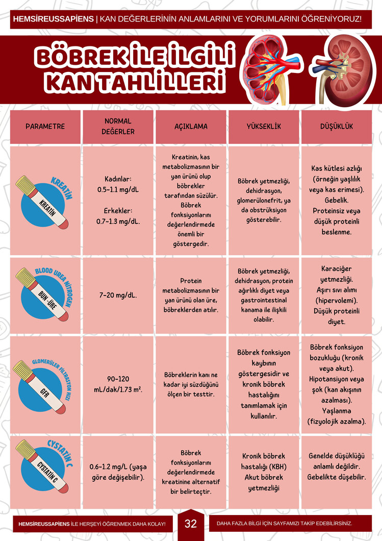 Kan Tahlillerinin Anlamları ve Yorumları