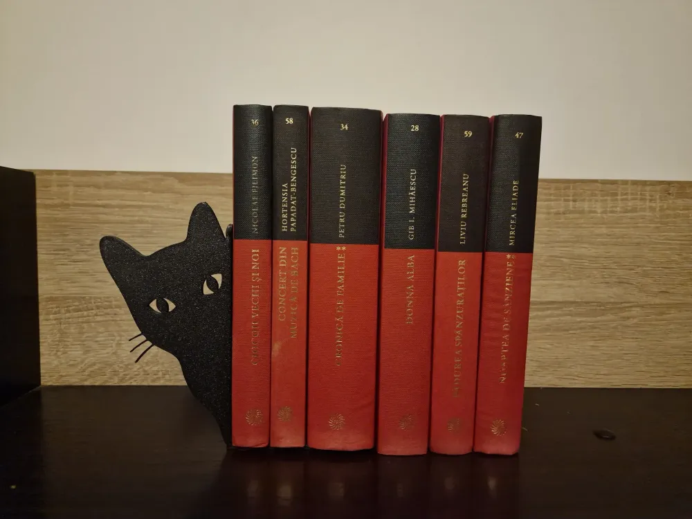 Kedili Kitap Tutucu