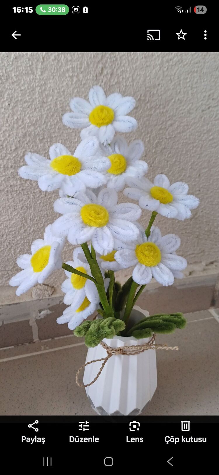 papatya çiçeği