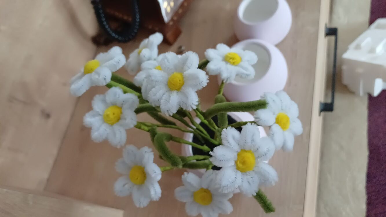 Papatya Dekoratif çiçek
