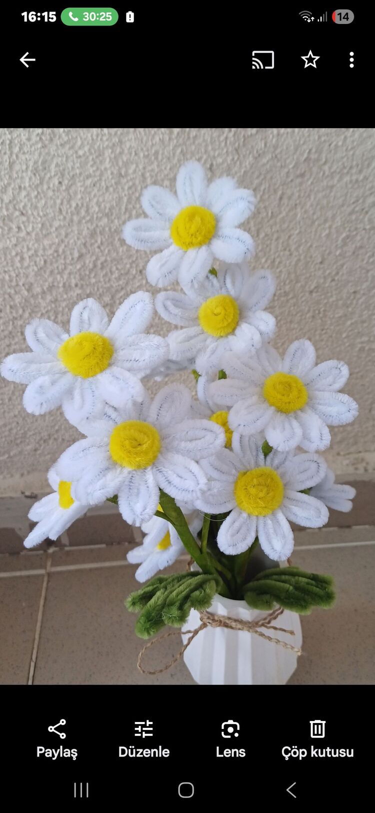 papatya çiçeği
