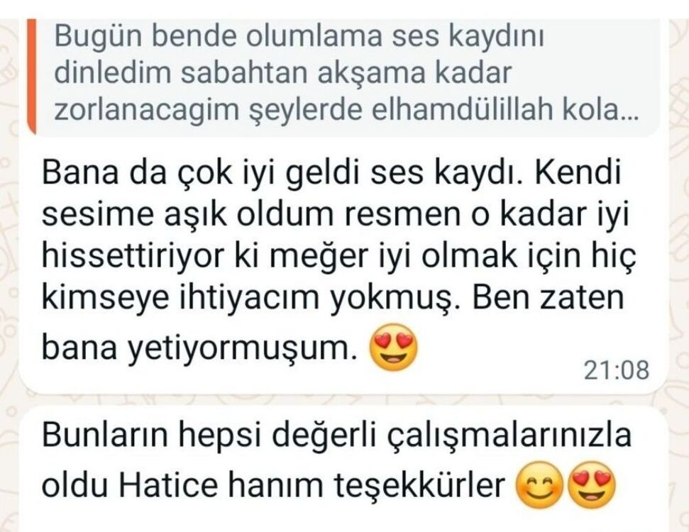 Dönüşüm planı 